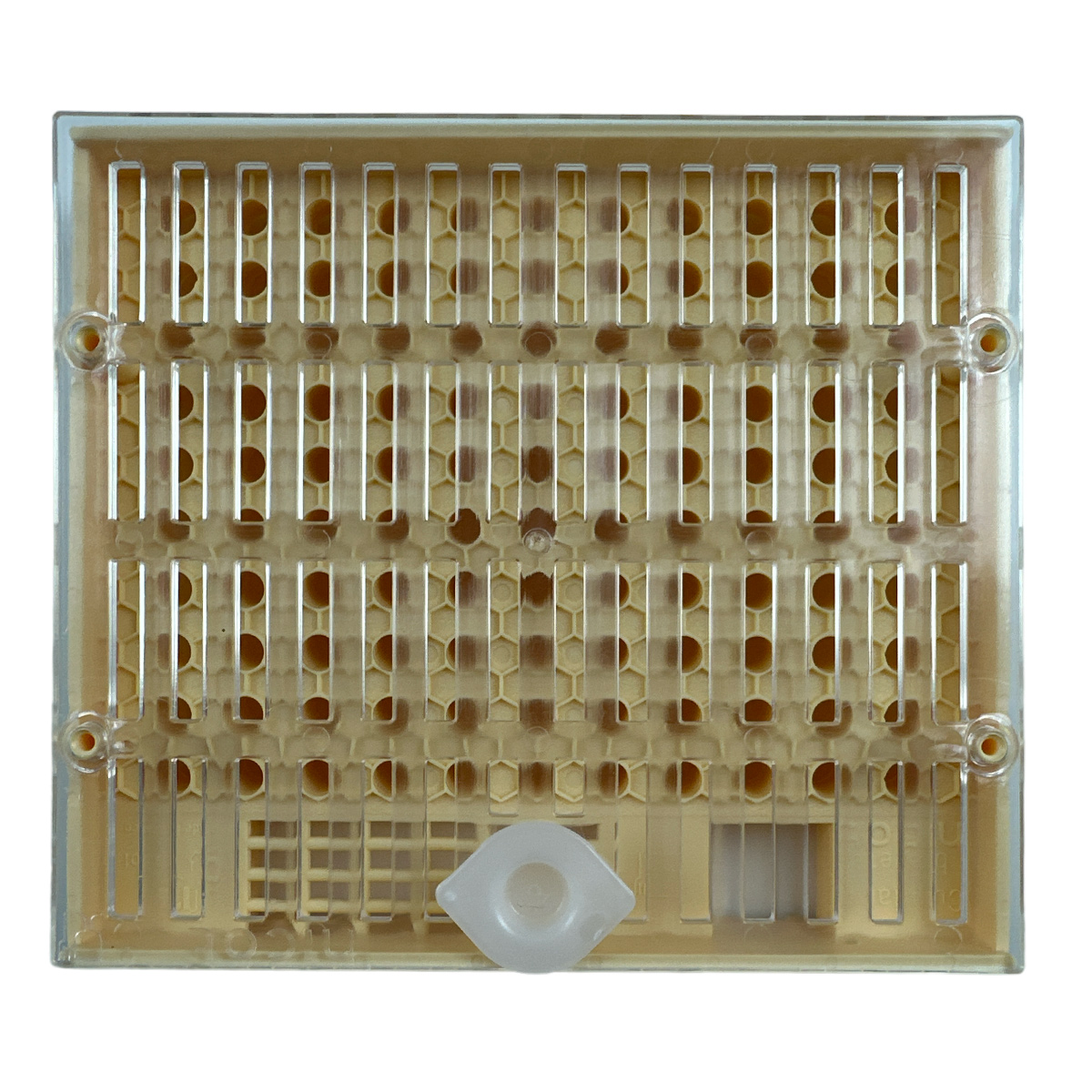 NICOT Zuchtkassette