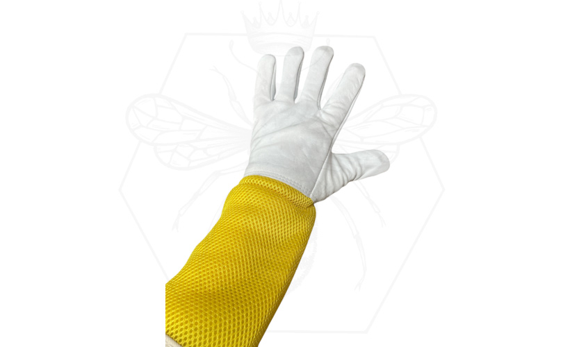 Lederhandschuhe Profi