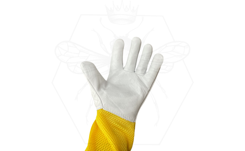 Lederhandschuhe Profi